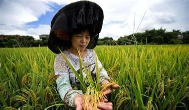 中央密切關注精準扶貧 易地搬遷進入十三五規劃