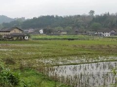 十四五規劃編制的基本步驟