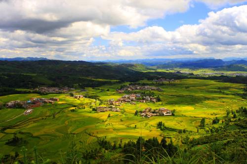 合川區(qū)為“十四五”期間成功創(chuàng)建國家級農(nóng)業(yè)科技園區(qū)奠定基礎(chǔ)