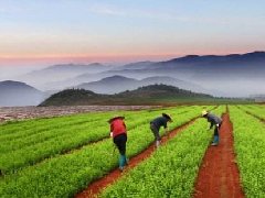 山東省蘋果產業高質量發展規劃論證會在泰安召開