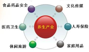 我國智慧健康養老產業運營模式探究