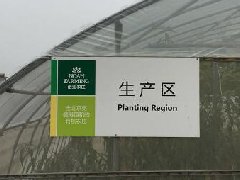 我院副院長赴平谷考察平谷農業科技區建設情況