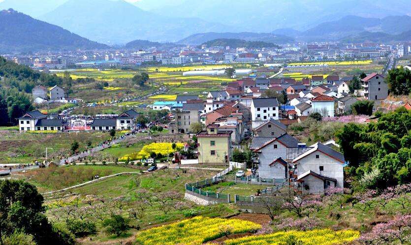 陳文勝：鄉(xiāng)村振興的資本、土地與制度邏輯