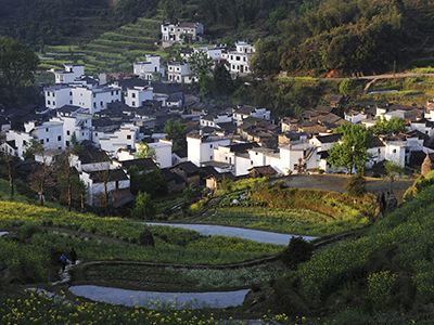 鄉村振興的順序與步驟